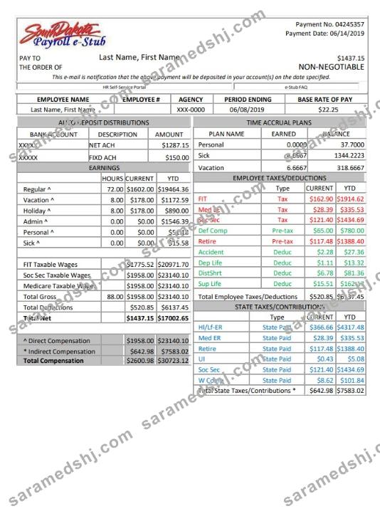South Dakota payroll e-stub Word and PDF template